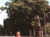 85-5