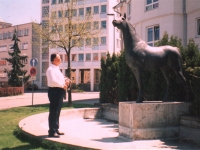 86-1
